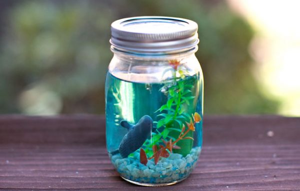 Mason Jar Aquarium.