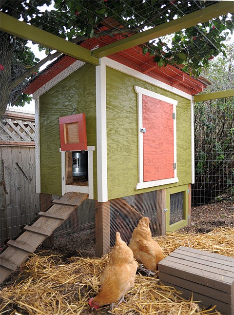 A Raised Chicken Coop.