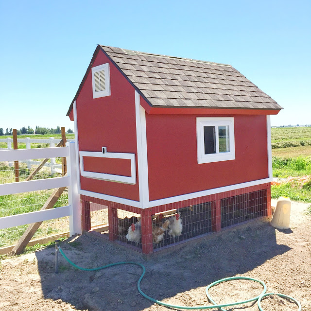 Barn Pallet Chicken Coop.