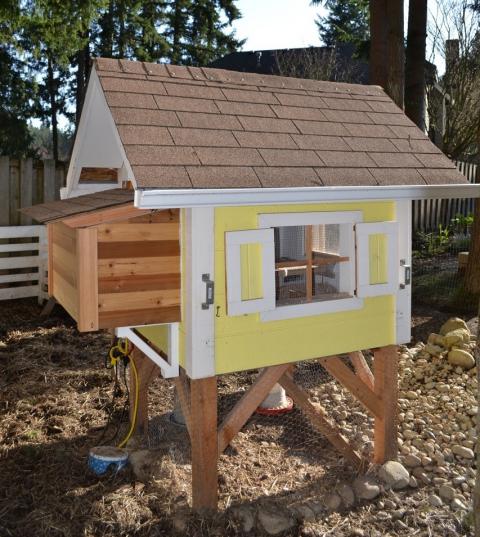 Chicken Coop.