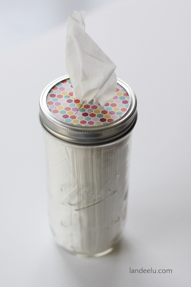 Mason Jar Tissue Holder.