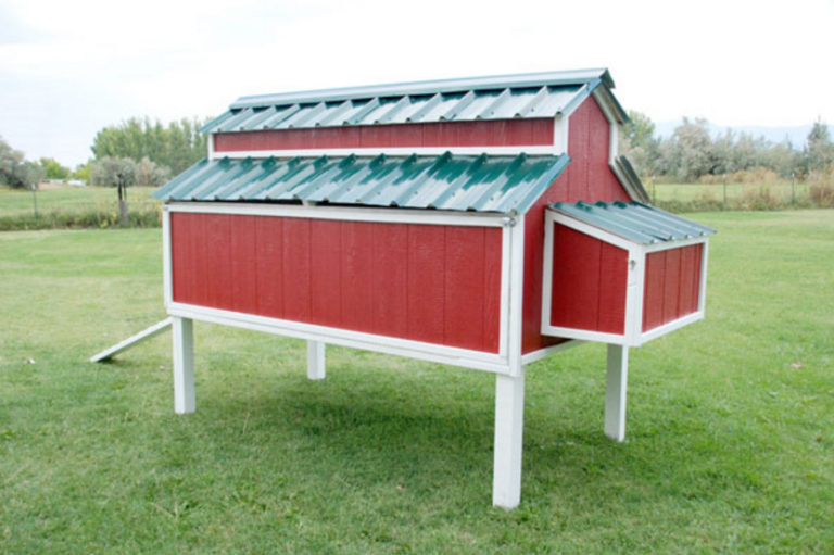 Mini Chicken Barn.