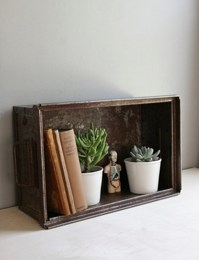 Perfect for storing and displaying vintage treasures and plants.