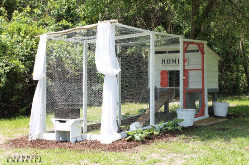 Pretty and Functional Chicken Coop.