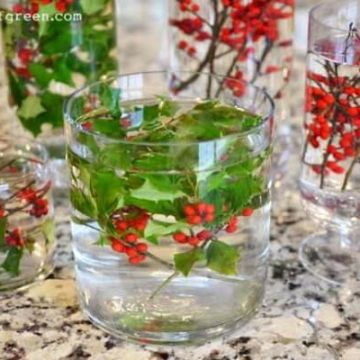 Holly Centerpiece.