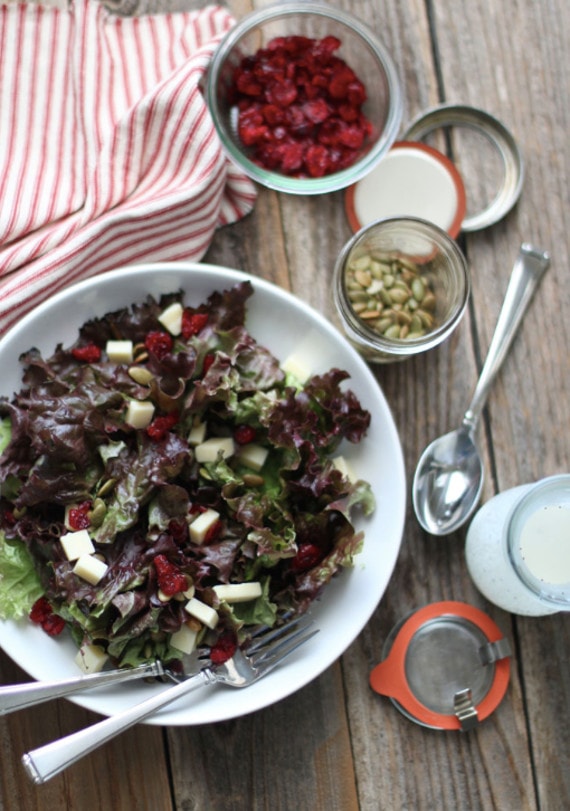 Red Leaf, White Cheddar and Cranberry Salad