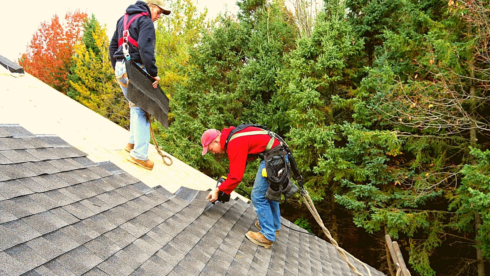 Asphalt Shingles Installation