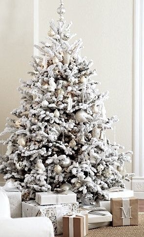 The awesome white Christmas tree with silver ornaments looks elegant and exquisite.