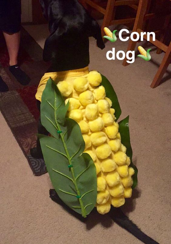 Corn dog costume for Halloween.