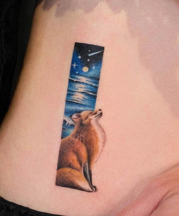 Fox under the night sky